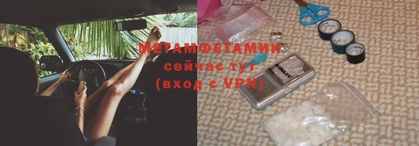 прущие грибы Дмитров