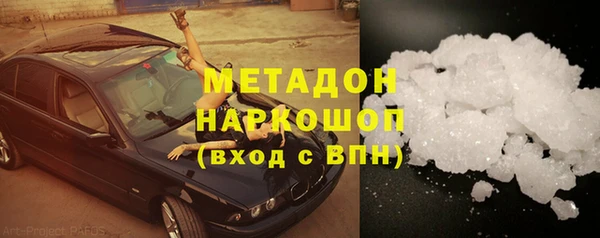 прущие грибы Дмитров