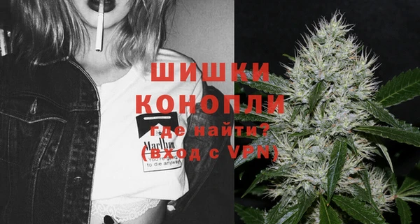 прущие грибы Дмитров