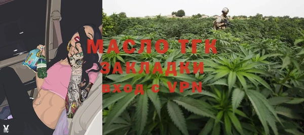 прущие грибы Дмитров