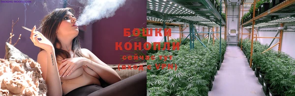 мяу мяу мука Новозыбков