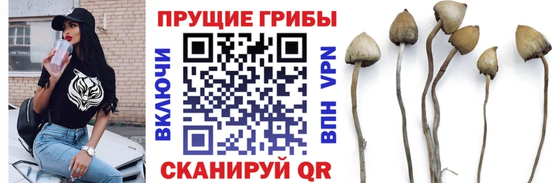 OMG ссылки  Петров Вал  Псилоцибиновые грибы прущие грибы 